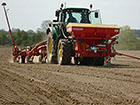 Maize Drilling